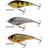 Westin Swim 10cm, Real Roach