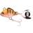 Spro ASP Spinner UV 14 g