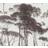 Living Walls History of Art
