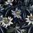 Blue Lake Of Flowers (107921)
