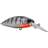 Armada The Guard Black Bruised Perch