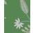Sanderson Hakimi Emerald