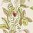 Sanderson Wallpaper Calathea 216631