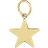 Edblad Charmentity Star Charm - Gold