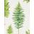 Sanderson Fernery Botanical Green 216633
