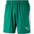 Puma Liga Shorts Men - Pepper Green/White