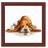 LUCAS Broderikit Billede Basset