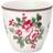 Greengate Charline Kaffekop 30cl