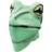 Bristol Novelty Bristol Novelty Unisex Adults Rubber Frog Mask (One Size) (Green)