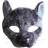 Bristol Novelty Unisex Adults Rat Mask With Sound (One Size) (Dark Grey)