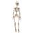 Hisab Joker Skeletons 90cm