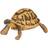 Papo r Hermann Skildpadde L: 8 cm OneSize Legetøj