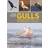 Gulls of Europe, North Africa, and the Middle East (Häftad)