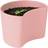 Stelton Your Tree Planting Pot with Seeds Krukke