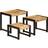 vidaXL 247404 Nesting Table 41x60cm