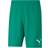 Puma Homme TeamRISE Short - Pepper Green