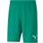 Puma TeamRise Short - Vert