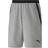 Puma teamFINAL 21 Casuals Shorts Men - Light Gray Heather