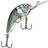 Salmo Hornet 6F 6 cm wobbler
