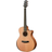 Walden G2070RCEH Electric-Acoustic Guitar