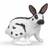 Papo Rabbit Papillion 51025