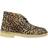 Clarks Desert Boot - Leopard Print Pony