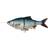 Savage Gear 4D Line Thru Roach SS 18cm, 80g Roach