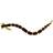 Westin Blood Teez Worm 55 Mm 0.5g One Size Green Pumpkin Purple