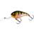 Westin MegaBite DR Crankbait 6cm 19g Floating Bling Perch