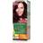 Garnier Color Naturals 4.62 Sweet Cherry