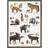 Koustrup & Co. Nordic Animal Tracks Plakat 42x59.4cm