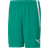 Puma TeamLIGA Short Men - Green