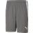 Puma TeamLIGA Short Men - Grey/White