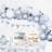 Globos Balloon Arches Party 70-pack