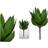 BigBuy Home Dekorativ växt Aloe Vera (14 x 23 x 14 cm)