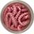 Berkley PowerBait Honey Worms -Bubblegum