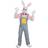 Widmann Country Rabbit Adult Fancy Dress Costume