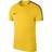 NIKE Dry Academy SS Top Men - Tour Yellow/Anthracite/Black