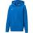 Puma Kid's TeamGOAL 23 Casuals Hooded Jacket - Electric Blue Lemonade (656714-02)