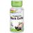 Solaray Fermented Black Garlic Bulb 500mg 50 st