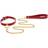 Taboom O-Ring Collar and Chain Leash
