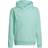 adidas Entrada 22 Sweat Hoodie Kids - Clear Mint