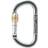 Austrialpin Asymm Oval Screw Lock