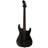 ESP LTD SN-1 HT