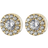 Edblad Thassos Studs - Gold/Transparent