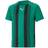 Puma Teamliga Striped Youth Football Jersey - Green/Black (704927_05)