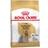 Royal Canin Yorkshire Terrier Adult 3kg