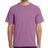 Hanes ComfortWash Garment Dyed Short Sleeve T-shirt Unisex - Purple Plum Raisin