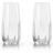 Viski Raye Cactus Champagne Glass 23.658cl 2pcs