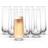 Joyjolt Milo Stemless Champagne Glass 27.79cl 8pcs